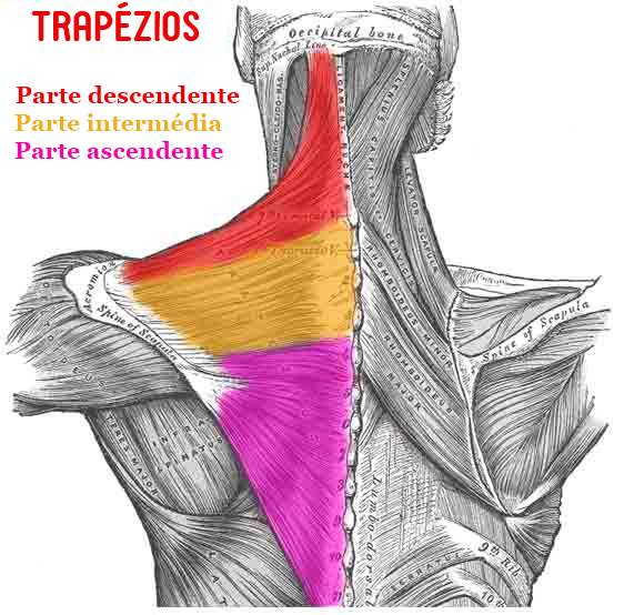 Fisioterapia e um pouco mais: Março 2013