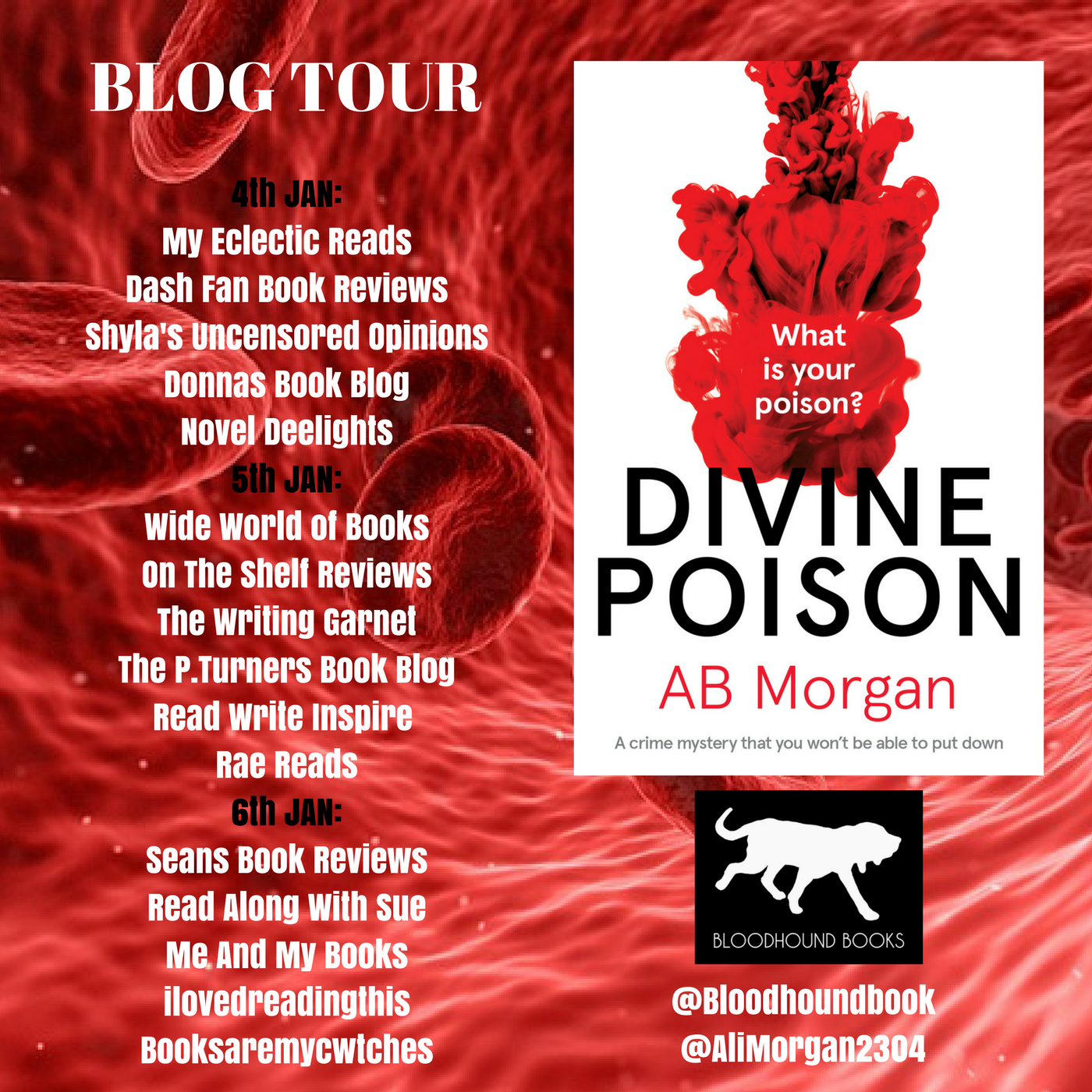 rae reads divine poison by ab morgan alimorgan2304 review my first flyer reviews