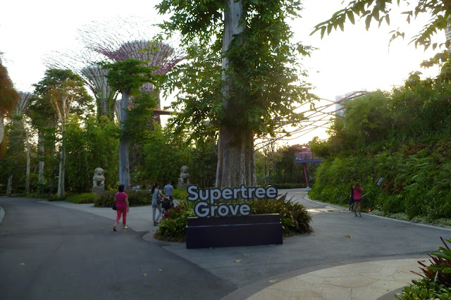 Supertree Grove w Gardens By The Bay