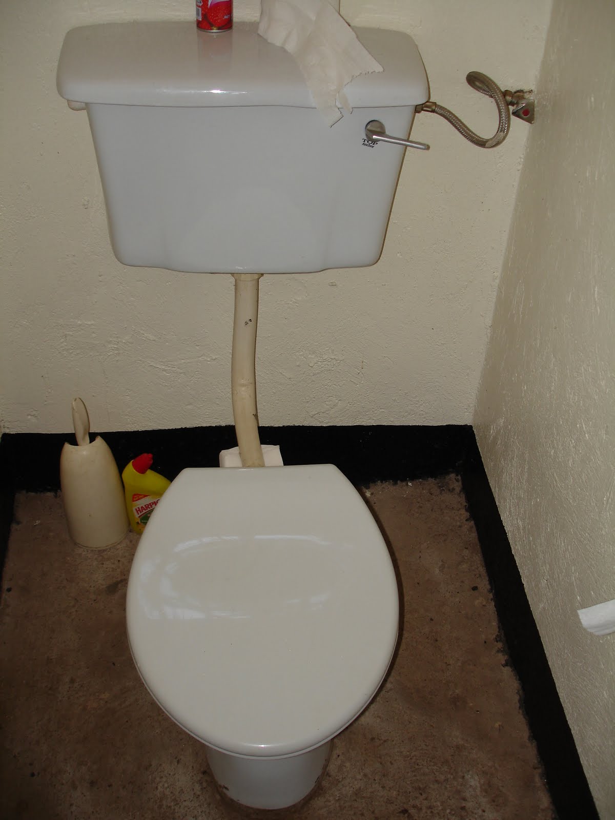 My Toilet is Your Toilet