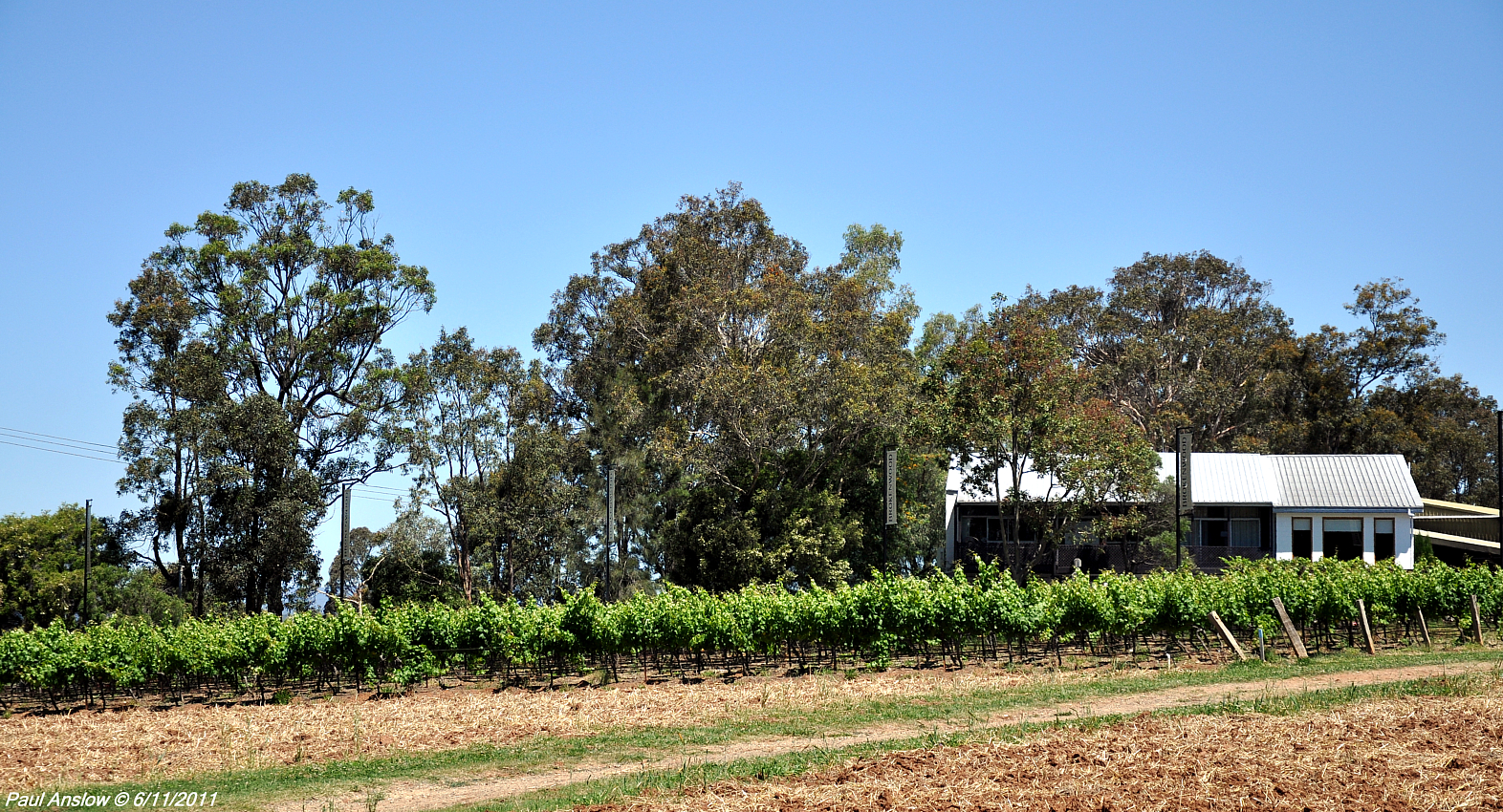 The Anslow Blog A Visit to the Lower Hunter Valley
