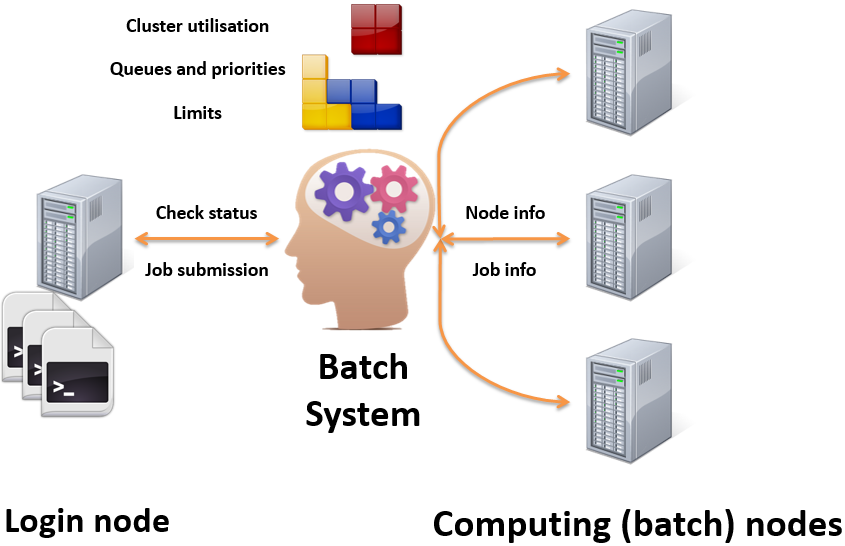 Pengertian dan Contoh dari Batch System, Critical Section, Process