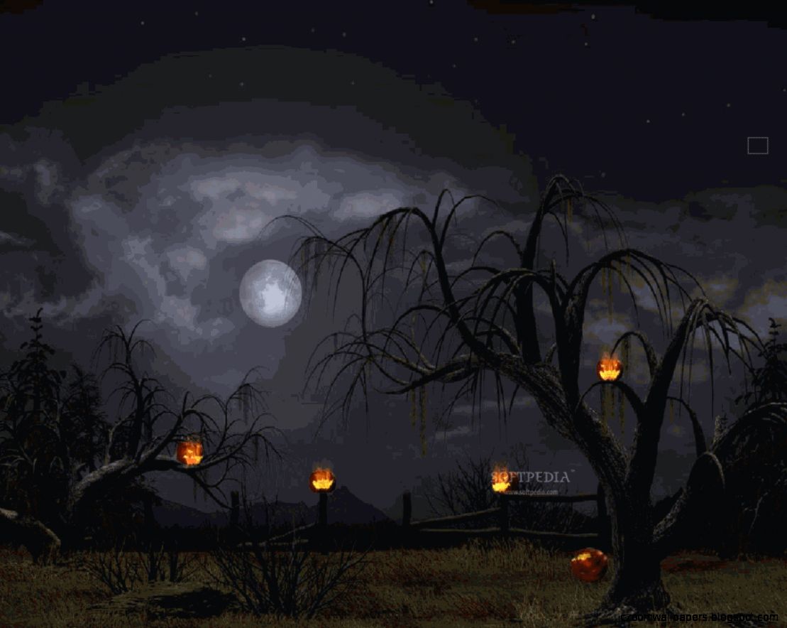Halloween Animated Wallpaper  My image