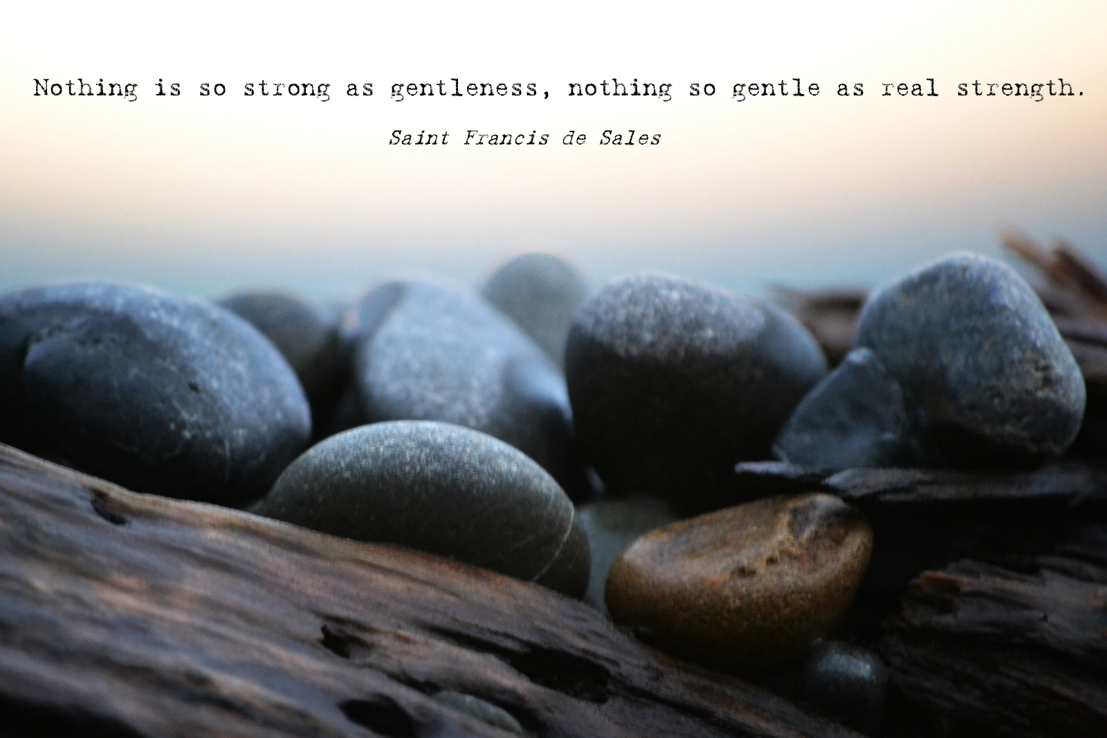 Fruit of the Week: Gentleness - The Quiet Strength | the adventures of MNMs