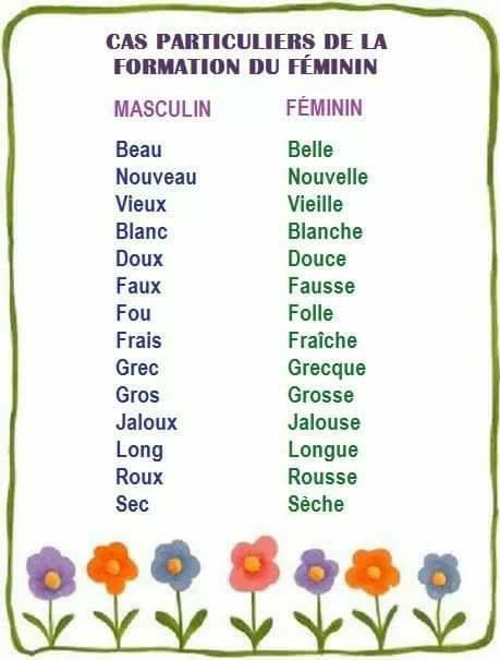Rodzaj żeński przymiotników - gramatyka 4 - Francuski przy kawie