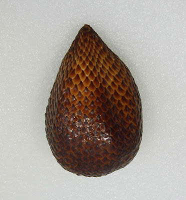 Buah Salak Buah Salak