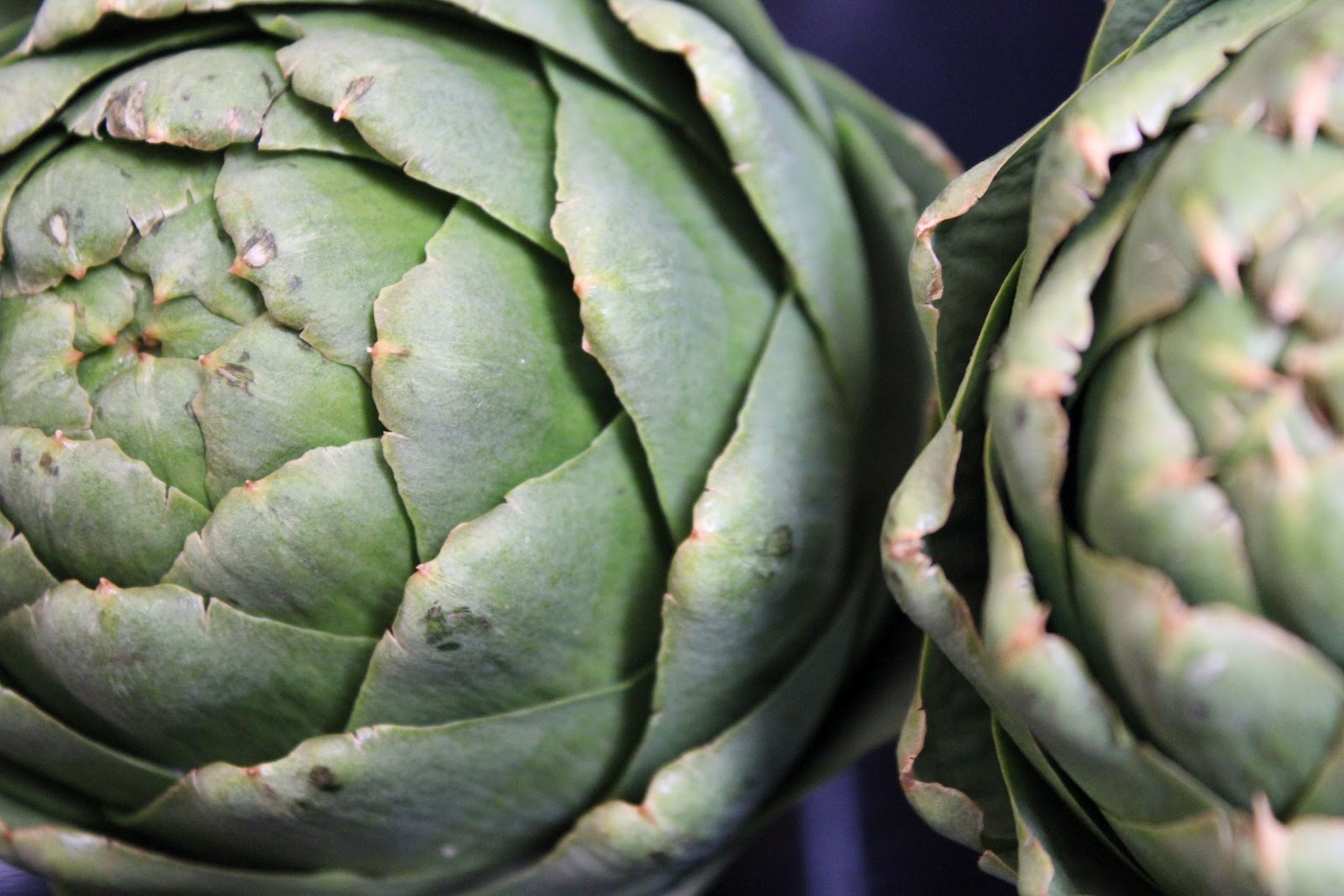 The Epicurean Esquire Steamed Artichoke with Lemon Dill Aioli
