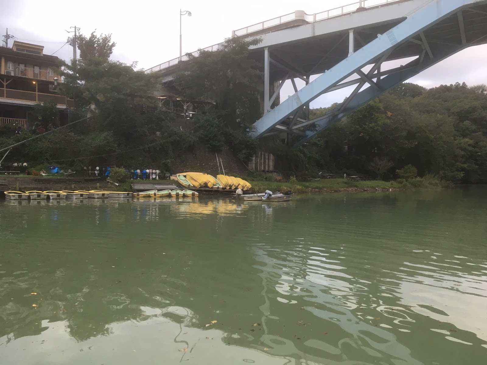 相模湖 日相カップ レンタルボート大会で大健闘 リミットメイクで56人中7位に 釣り好きな僕たち たつのきんごの釣り日記