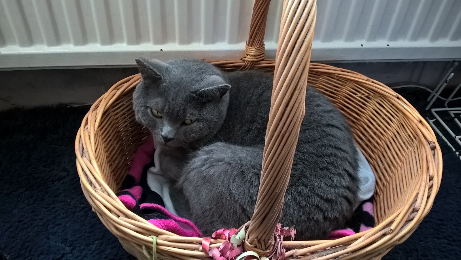 The Frugal KnitWit Slow Cooker 'Steamed' Suet Pudding