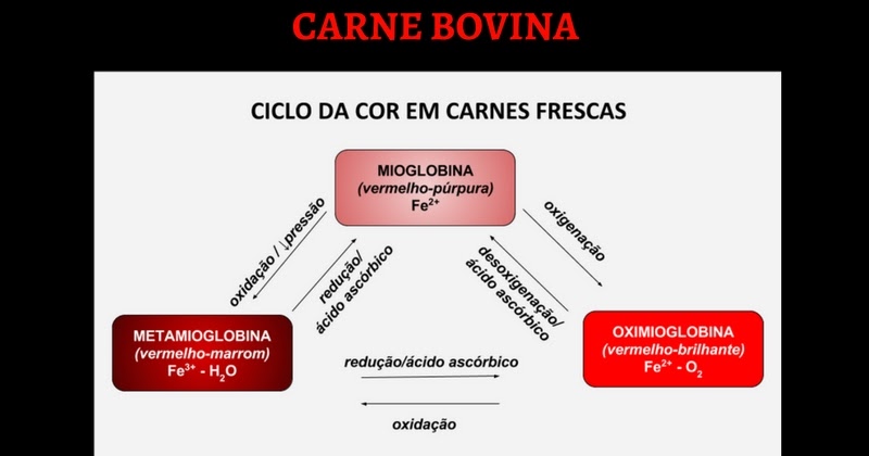 Operacao Carne Forte PDF