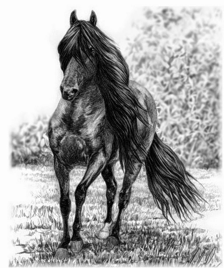 Top 80+ imagen dibujos de caballos salvajes a lapiz