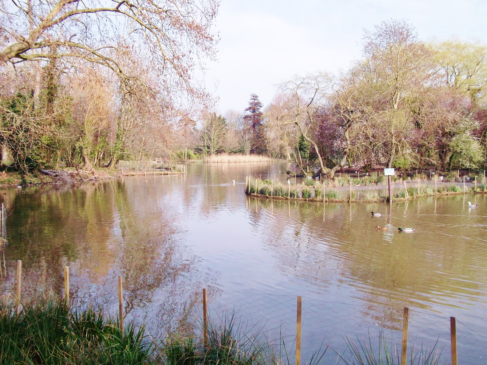 Shabby Angel Hampden Park Eastbourne