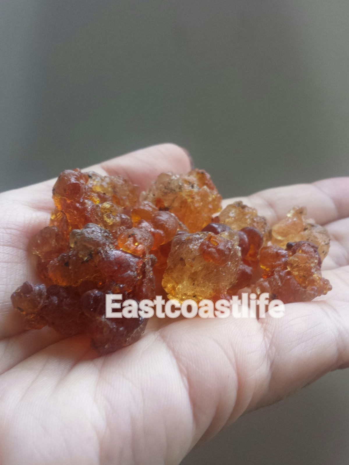 eastcoastlife Peach Gum Nourishing Beauty Tonic 桃胶糖水滋阴养顏