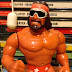 Macho Man Randy Savage's Greatest Feuds and matches - As told by WWF Hasbro Figures