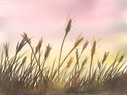 wheat watercolor field february