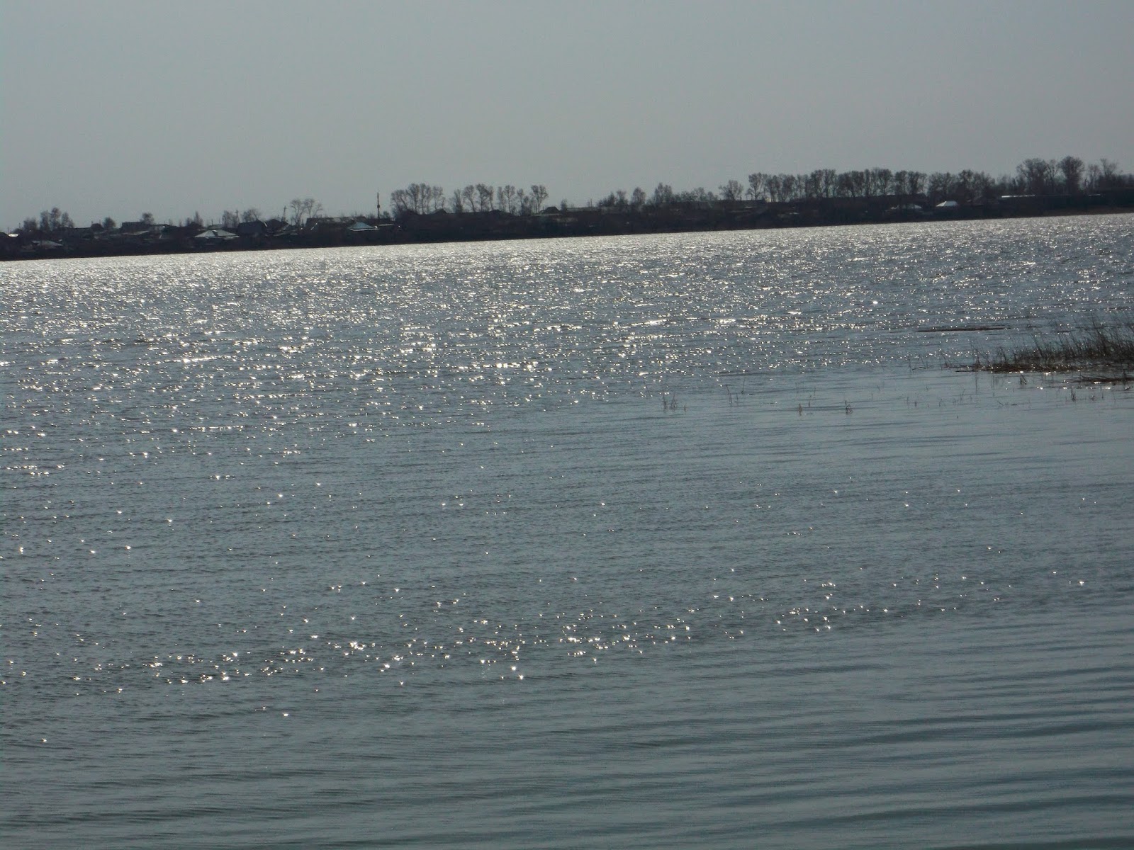 Озеро горькое алтайский край