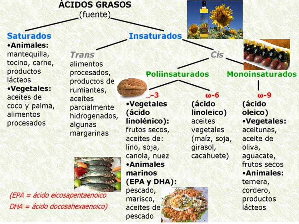 BIO-QUIMICA: ACIDOS GRASOS INSATURADOS