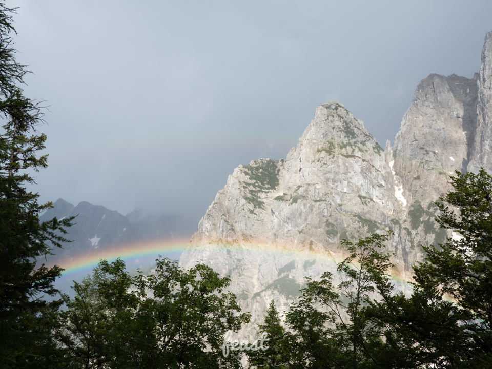 From buckwheat bread to spruce liquor — discovering the taste of
