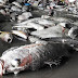 Scores held as Vietnam breaks up fish deaths protest