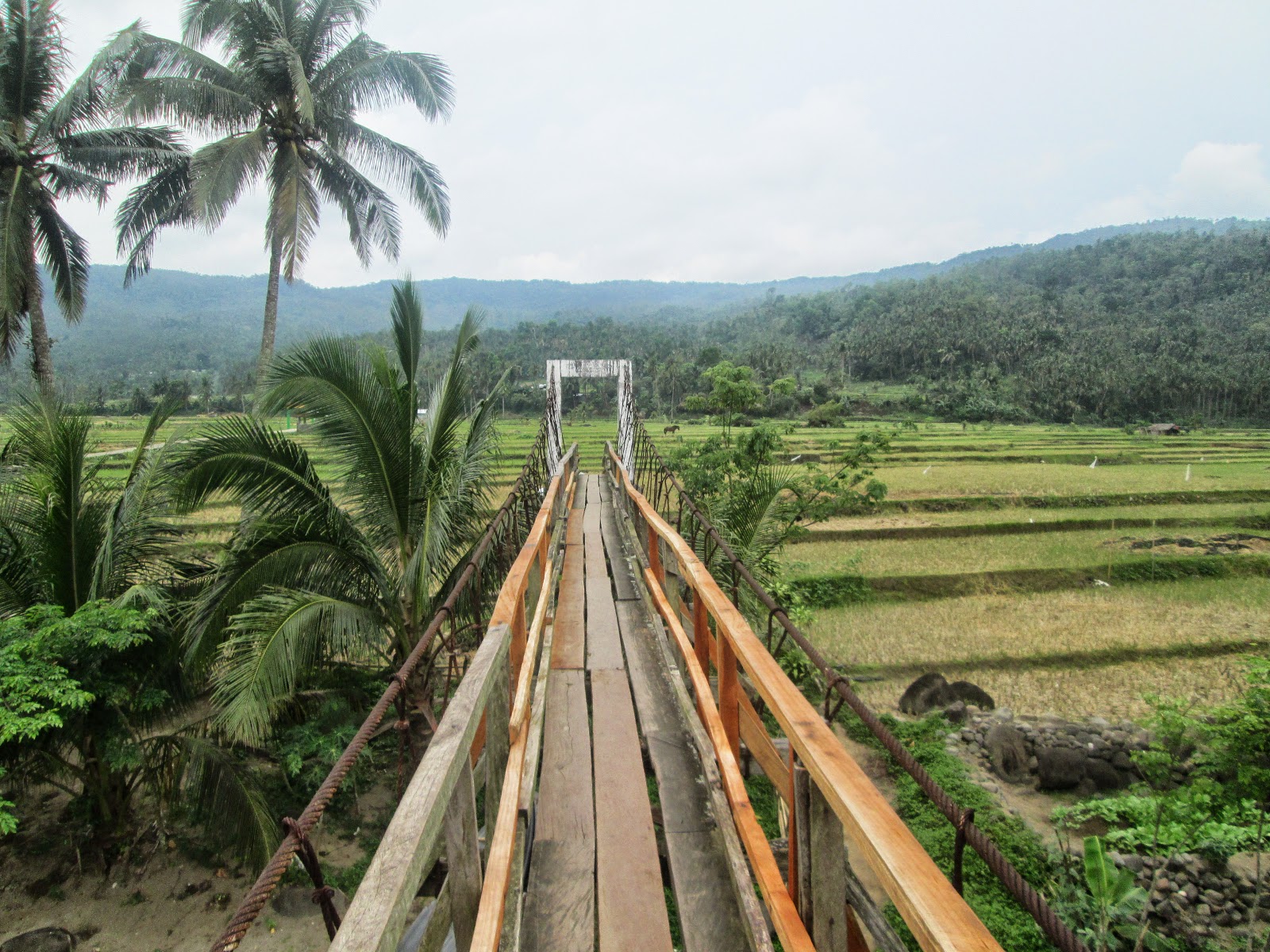 INSPIRING JOURNEY: Sampaloc: Home of Maapon River and Guinto Hanging Bridge
