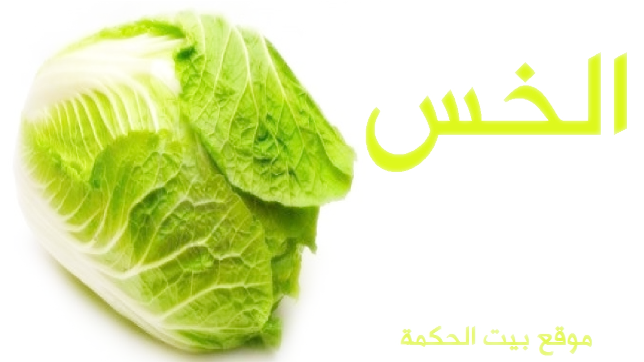 ۩ قناة بيت الحكمة ۩ : فوائد الخس