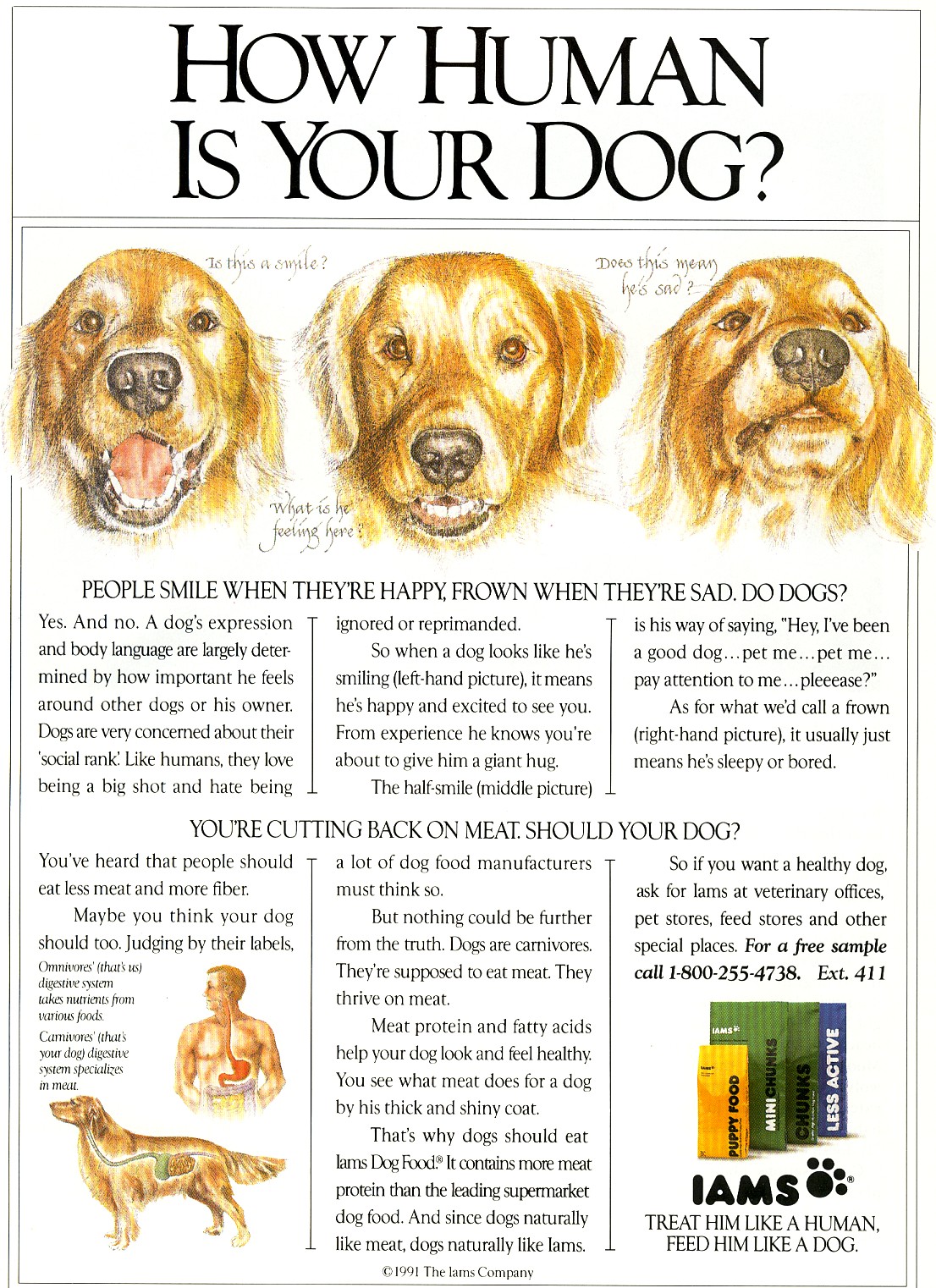 1991 IAMS Dog Food Magazine Ad PRINT ILLUSTRATION Old Magazine Ads