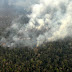 Agosto é recordista de queimadas na Amazônia desde julho de 2009 