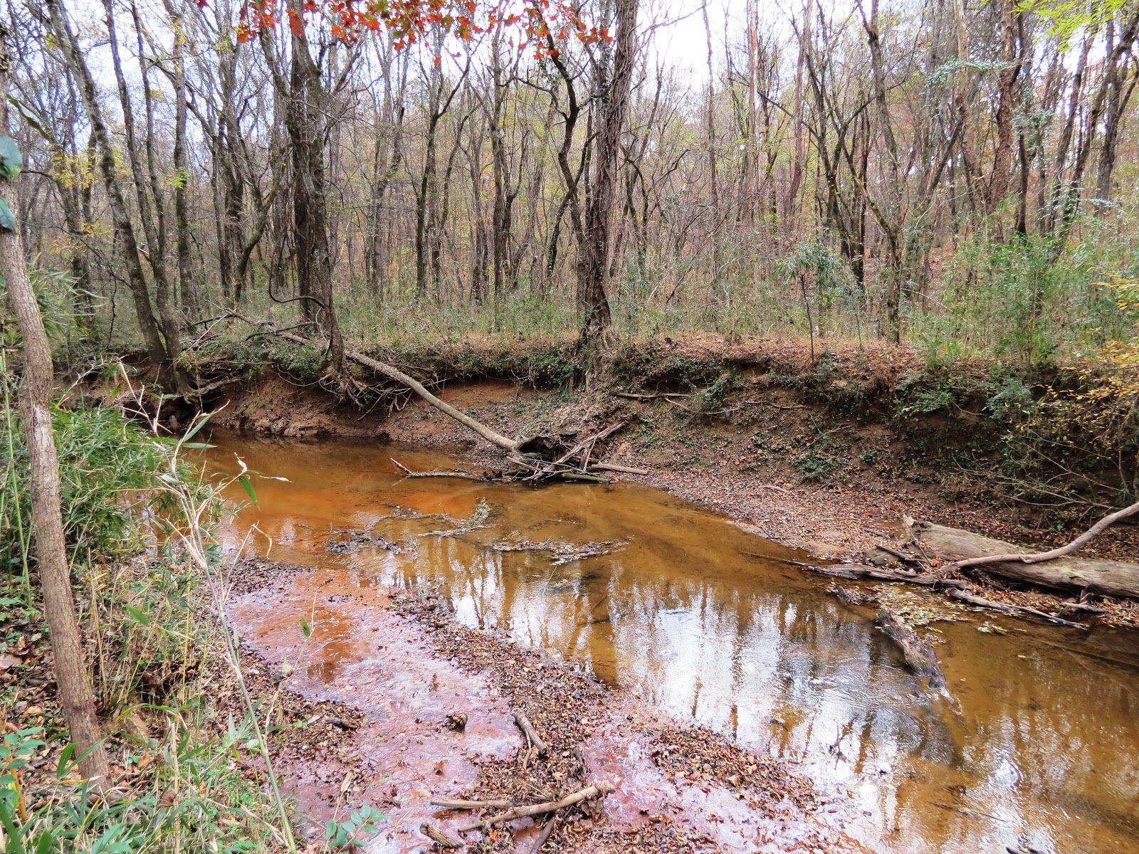 Another Take on Life, the World, and Adventure 40 Acre Rock Heritage