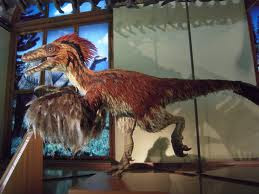 ricerca sui dinosauri