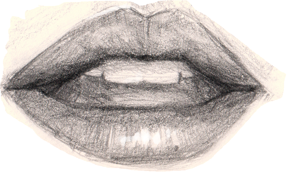 Portrait Tips Pencil DrawingFeatures of face