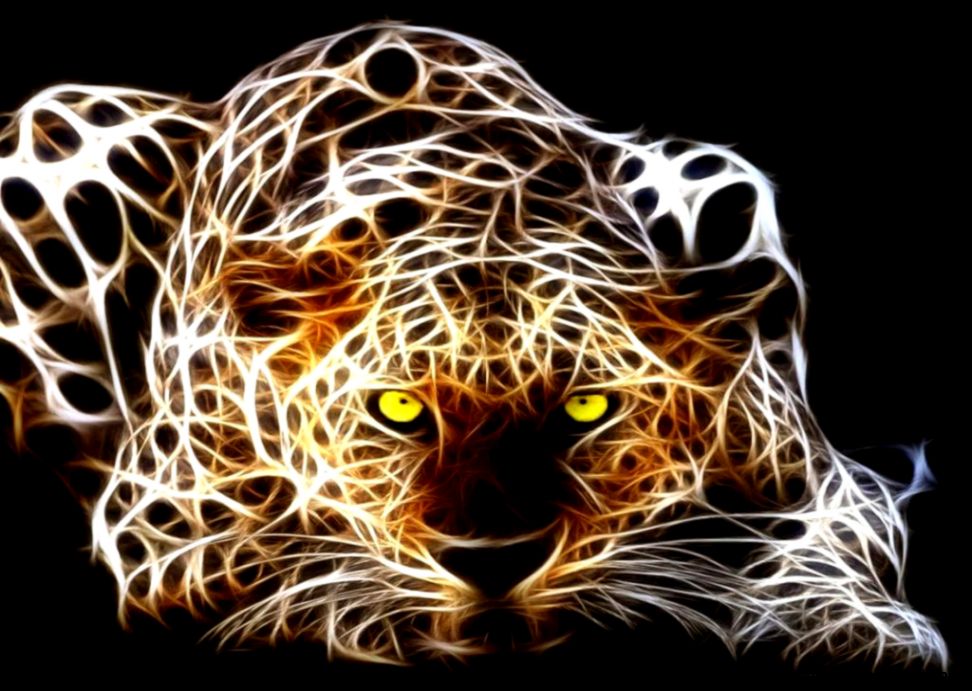 3d Wallpaper For Android Animal Image Num 65