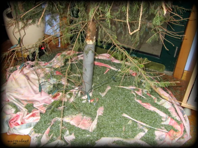 kerstboom met afgevallen naalden