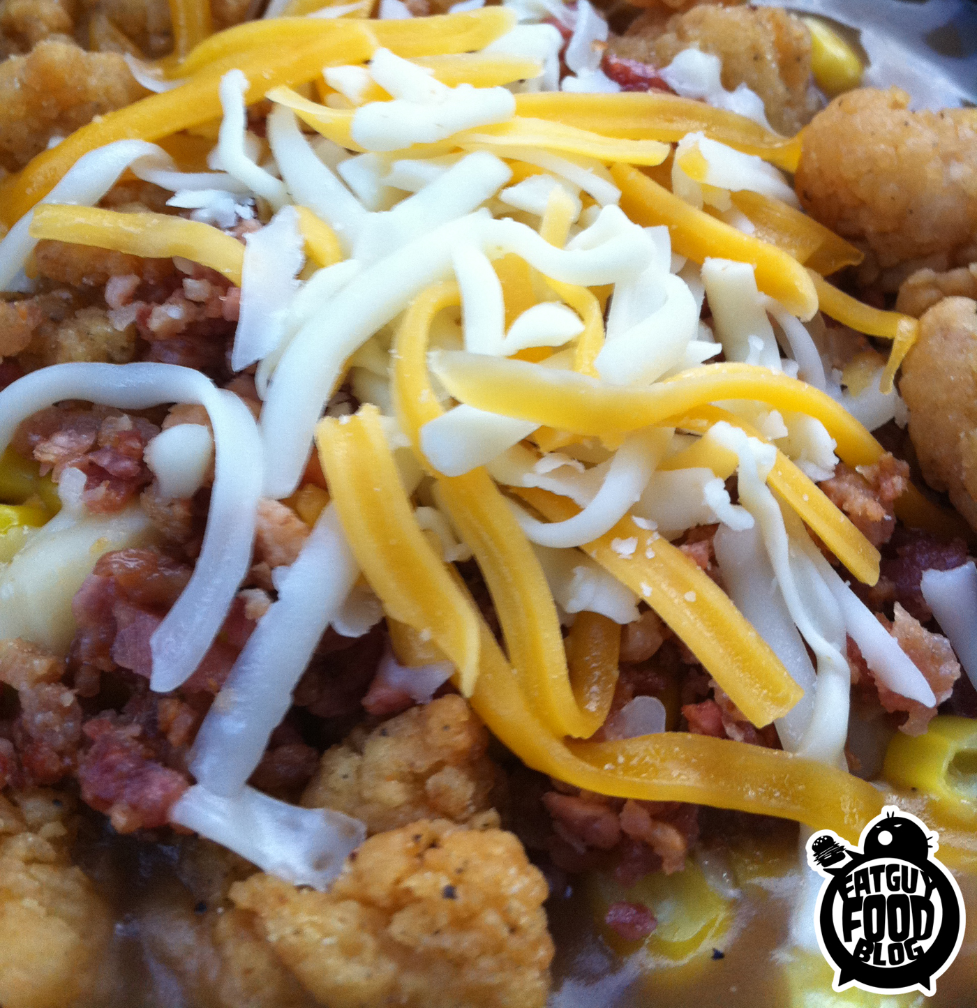 FATGUYFOODBLOG KFC Cheesy Bacon Bowl