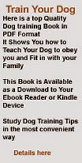 Dog Training Ebook Download