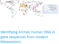 http://sciencythoughts.blogspot.co.uk/2016/03/identifying-archaic-human-dna-in-gene.html