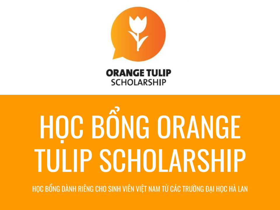Há»c bá»ng Orange Tulip Scholarship