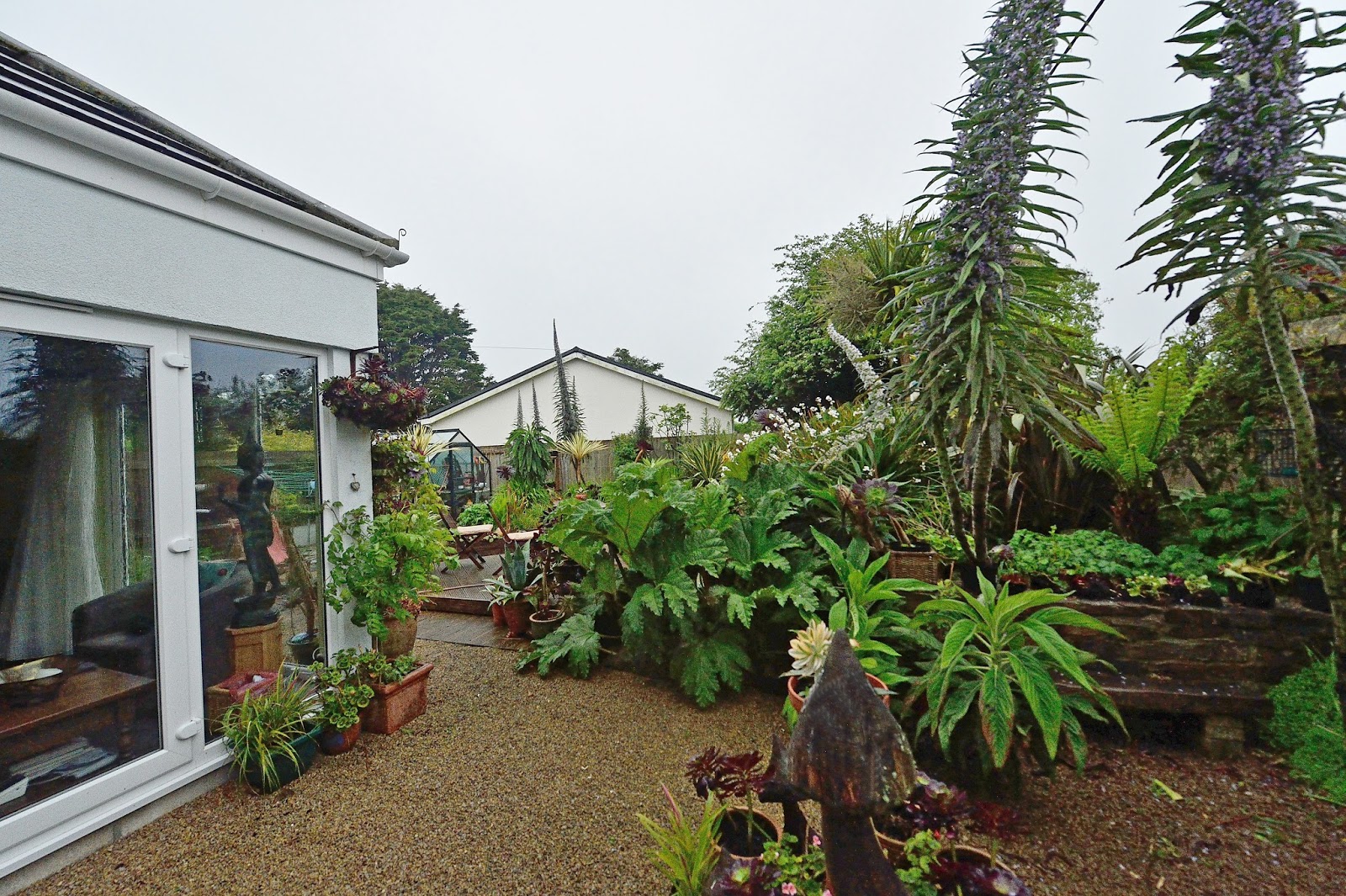 Alan James Photography My Cornish garden