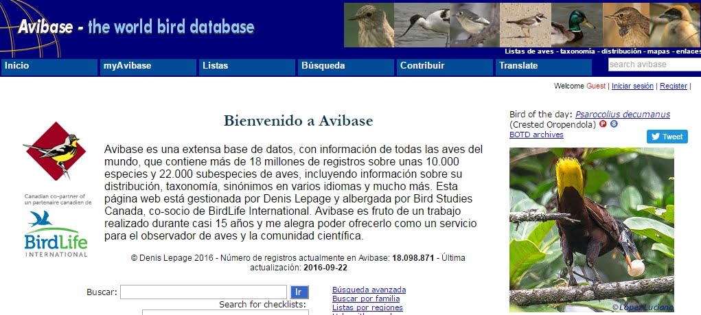 Avibase The World Birds Database