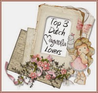 TOP 3 at Dutch Magnolia Lover #67 - Autumn