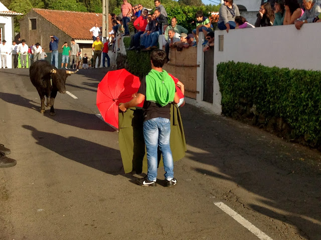 Street bullfight in Terceira, Azores, Portugal, on Semi-Charmed Kind of Life