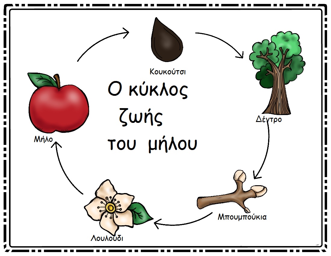 Αποτέλεσμα εικόνας για το αγαπημένο μου μήλο νηπιαγωγείο