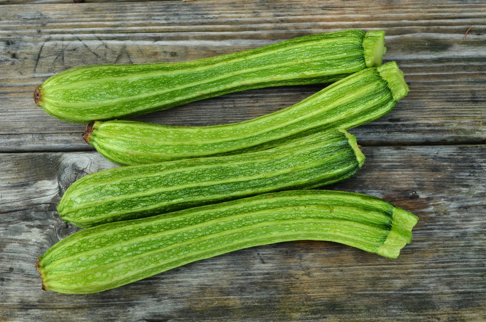 Harmony Valley Farm Summer Squash Zucchini and Scallopini Squash