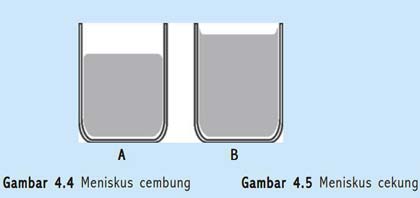 Meniskus Cekung Cembung Pengertian Penyebab Percobaan Gambar Dan Contohnya Materi Smp Blog Ipa Smp