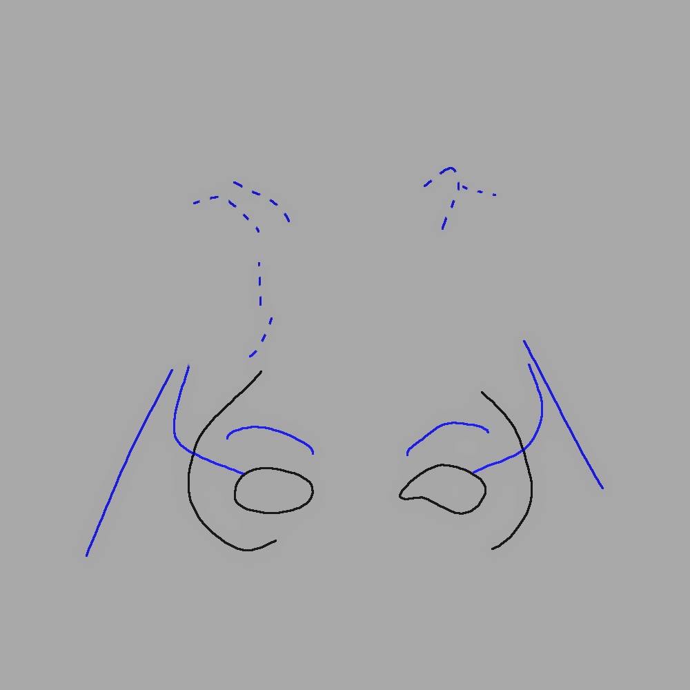 facial references for animation nose movement [outline]