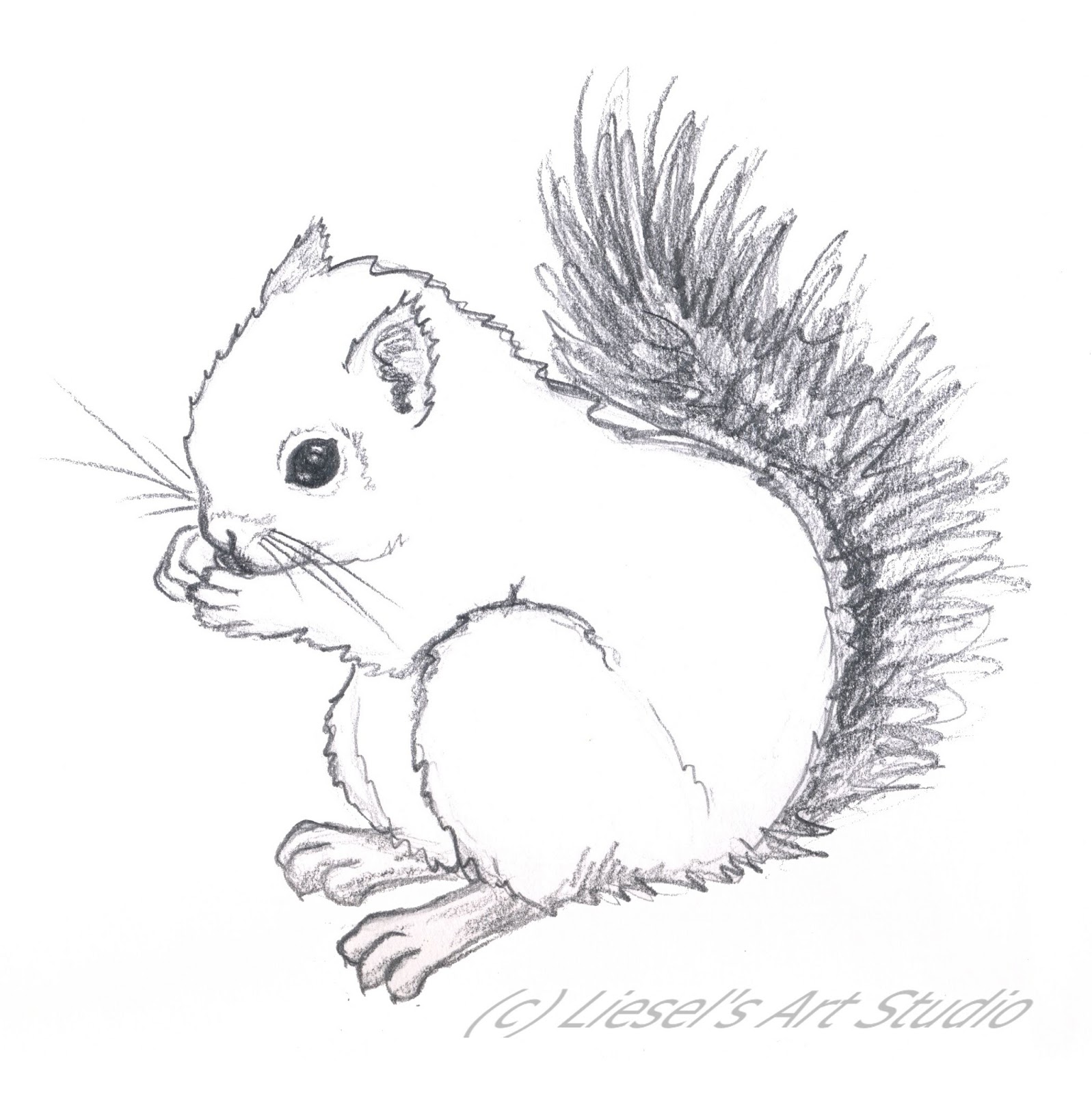 Rampant Eclecticism: #365 Drawings: Squirrel 19/365