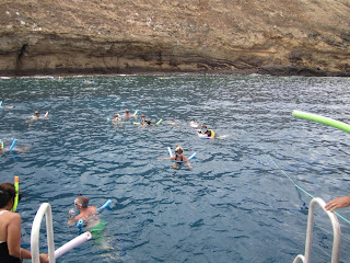 Snorkeling at Molikini island.