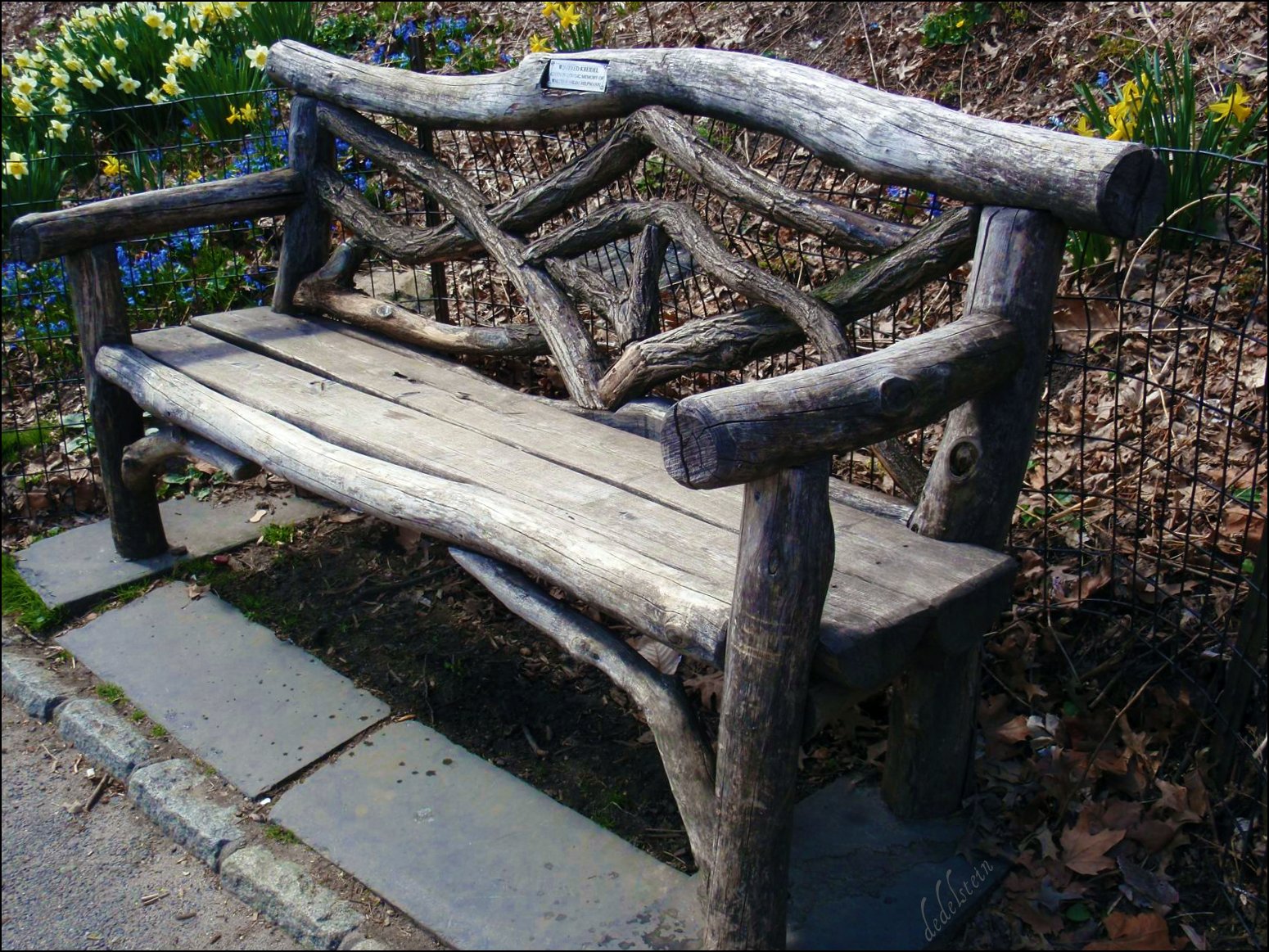 Through My Eyes branch bench