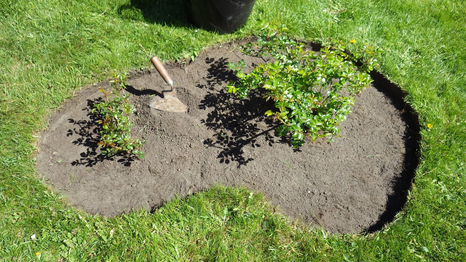 Urbandendro How to make a freeform mulching areas?