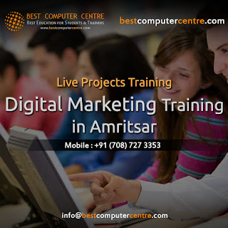 Best SEO Training Institute in Amritsar | Live Projects Training