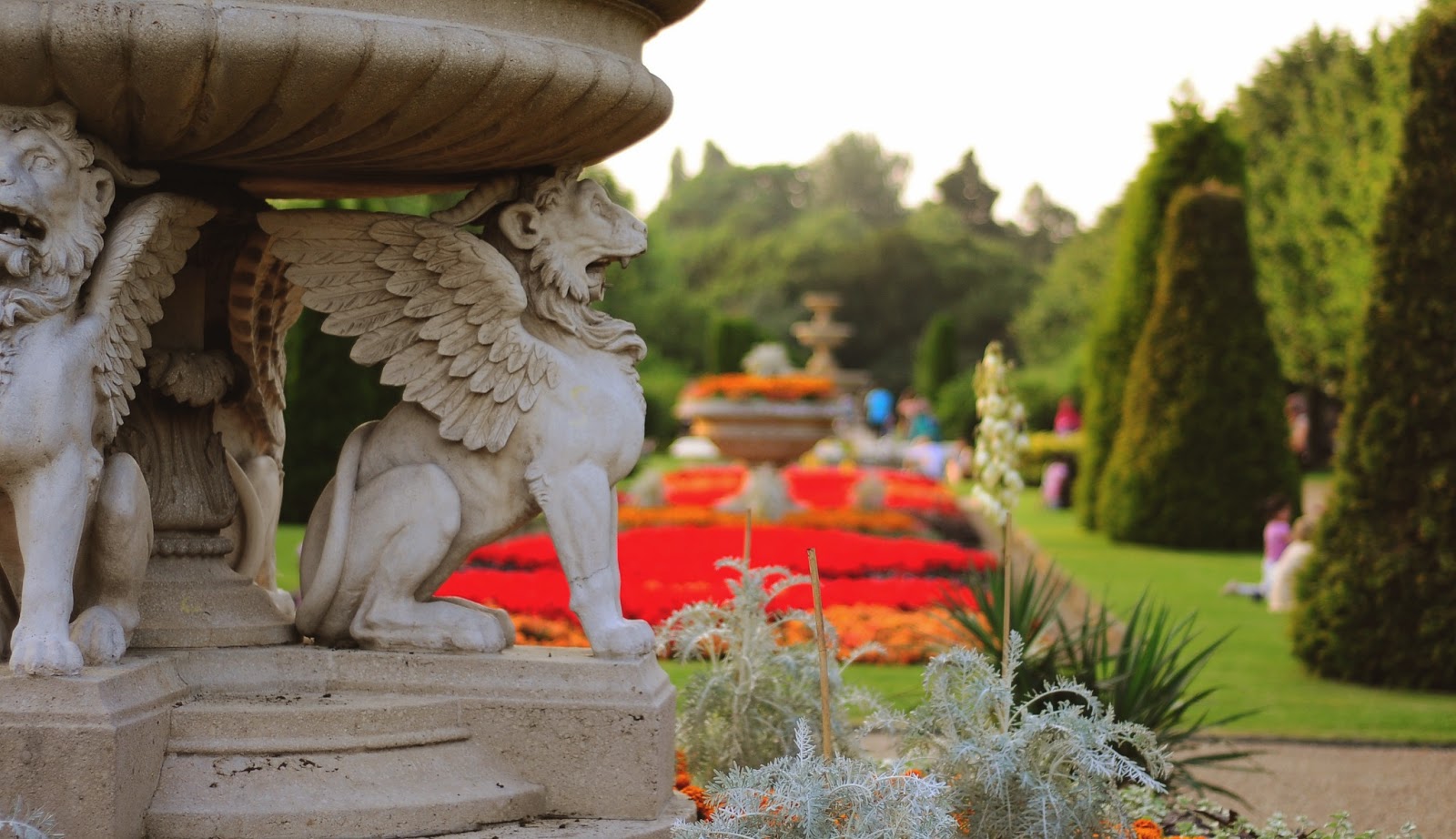 The Rose Garden  Queen Mary's Rose Garden - Regents Park  | Love Life